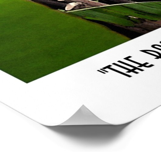 De bamboe-umbrella poster (Hoek)