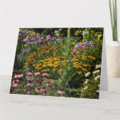 De bank in de Tent Gardens Kaart (Voorkant)