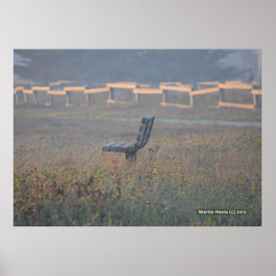 De bank poster