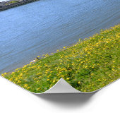 De banken van de Loire op het Briefkaart Saumur Sq Poster (Hoek)