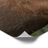 De Barasingha of Barasinga (Rucervus Poster (Hoek)