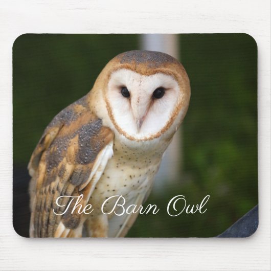 De Barn Owl Muismat (Voorkant)