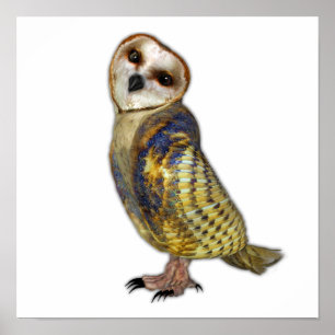 De Barn Owl Poster