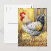 De Barn Rooster Briefkaart (Voorkant / Achterkant)