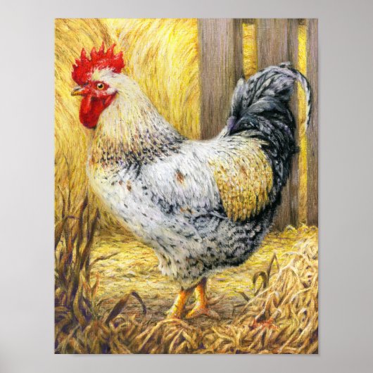 De Barn Rooster Poster (Voorkant)