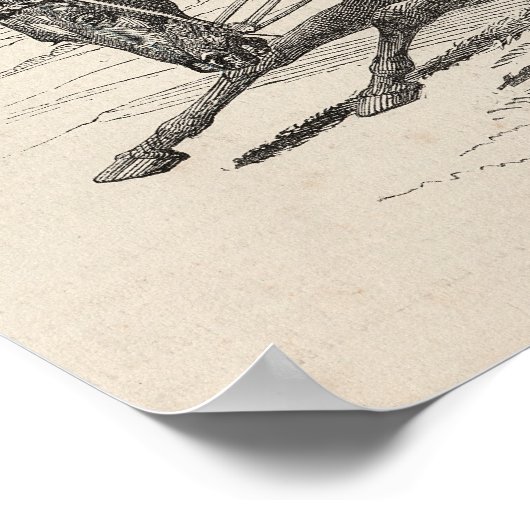 De Baron, de winnaar van de Grote St. Leger Poster (Hoek)