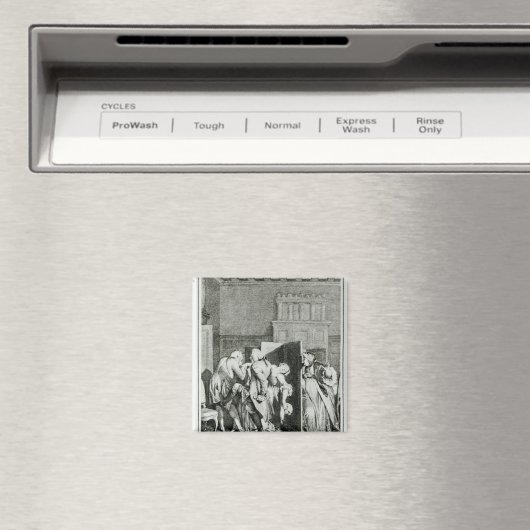 De Baron...gewaardeerde kandidaat Magneet (Insitu (Vaatwasser))