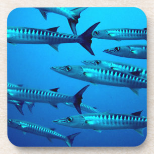 de barracuda duikt diepzee oceaanwater tropische drankjes onderzetter