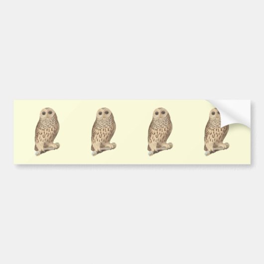 De Barred Owl (Ulula nebulosa) De Kay's NY Birds Bumpersticker (Voorkant)