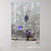 De barst in de muur poster (Voorkant)