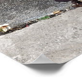 De barst in de muur poster (Hoek)