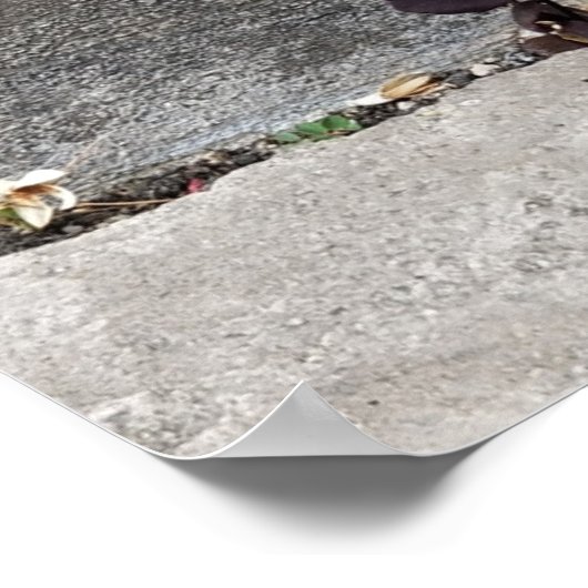 De barst in de muur poster (Hoek)