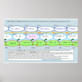 De basis van de Culturele Leeftijd van de Zodiaca Poster (Voorkant)