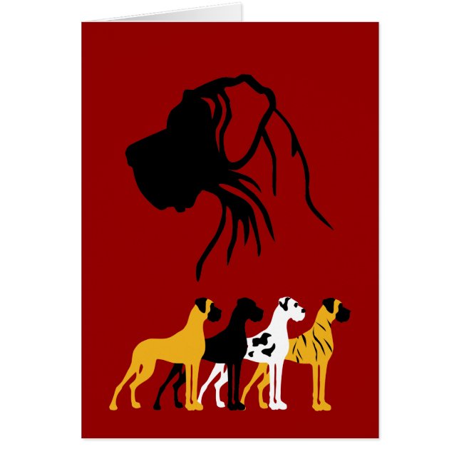 De basiskleuren Dane (Voorkant)