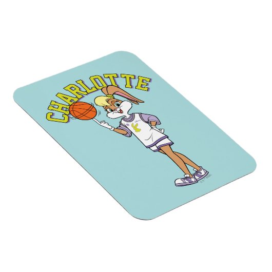 De basketbal van Lola Magneet (Rechterzijde)