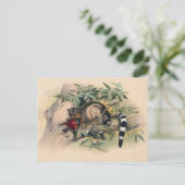 De Bassaris van Joseph Wolf Briefkaart (Staand voorkant)