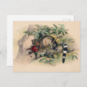 De Bassaris van Joseph Wolf Briefkaart (Voorkant / Achterkant)