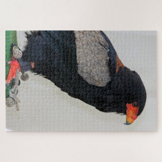 De Bateleur Eagle Legpuzzel (Horizontaal)