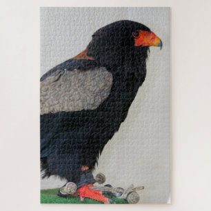 De Bateleur Eagle Legpuzzel
