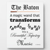 De batterij fotoplaat (Voorkant)