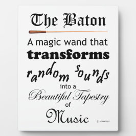 De batterij fotoplaat