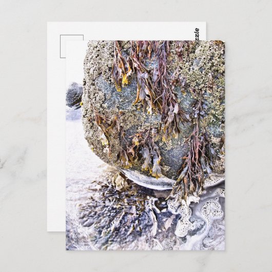 DE BEACH BRIEFKAART (Voorkant / Achterkant)