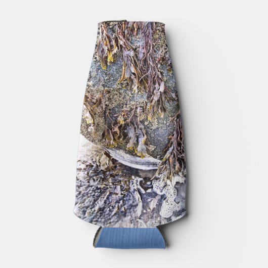 DE BEACH FLESJESKOELER (Voorkant)