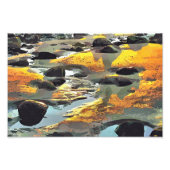 DE BEACH FOTO AFDRUK (Voorkant)