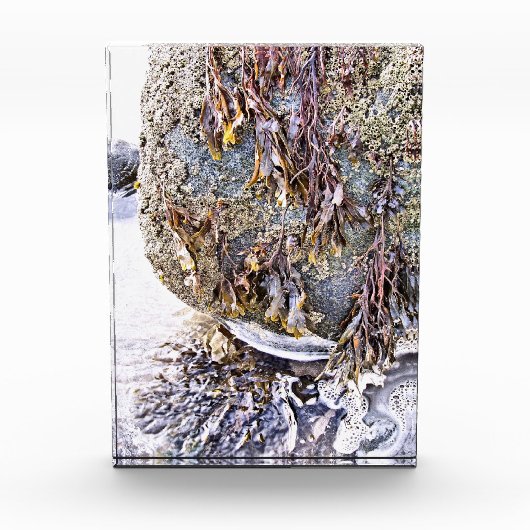 DE BEACH FOTOBLOKKEN (Voorkant)