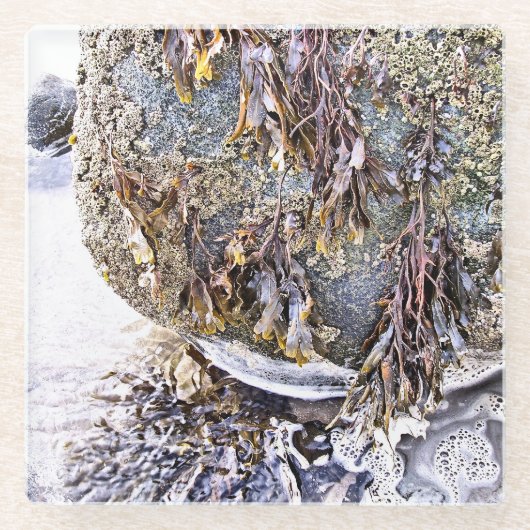 DE BEACH GLAZEN ONDERZETTER (Voorkant)