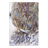 DE BEACH MINI KLEMBORD (Achterkant)