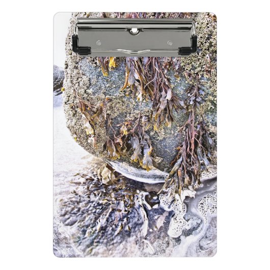 DE BEACH MINI KLEMBORD (Voorkant)