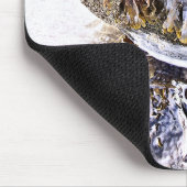 DE BEACH MUISMAT (Hoek)