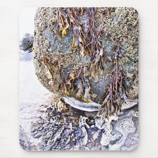 DE BEACH MUISMAT (Voorkant)