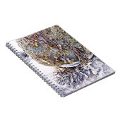 DE BEACH NOTITIEBOEK (Rechterzijde)