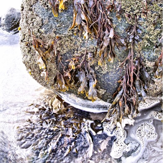 DE BEACH POKERKAARTEN