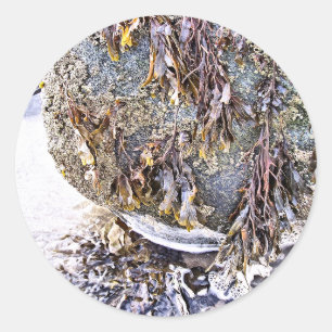 DE BEACH RONDE STICKER