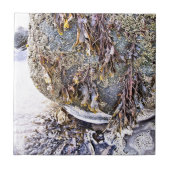 DE BEACH TEGELTJE (Voorkant)