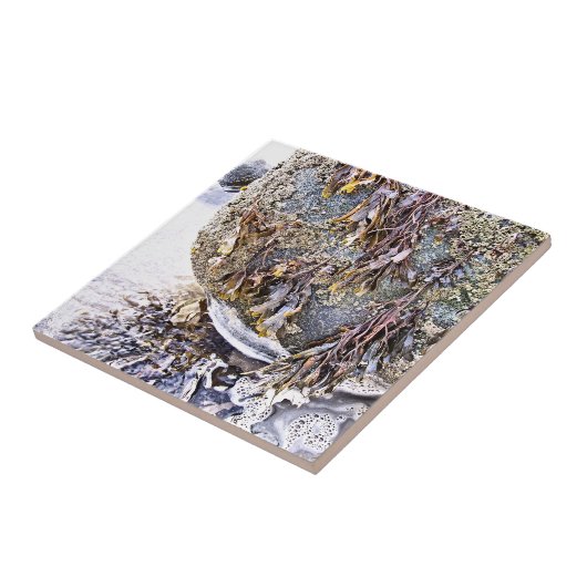 DE BEACH TEGELTJE (Zijkant)