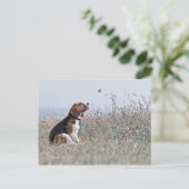 De beagle briefkaart (Staand voorkant)