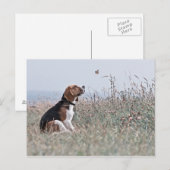 De beagle briefkaart (Voorkant / Achterkant)