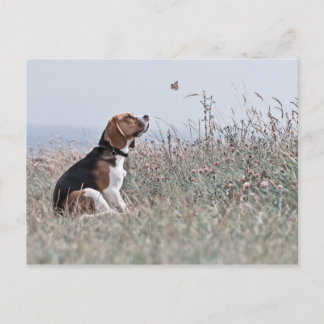 De beagle briefkaart