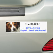 De BEAGLE Bumpersticker (Op auto)