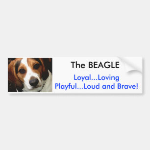 De BEAGLE Bumpersticker