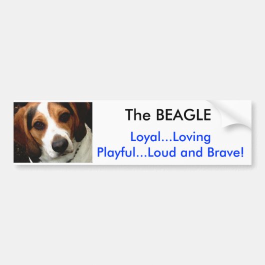 De BEAGLE Bumpersticker (Voorkant)
