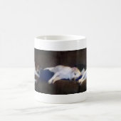 De Beaglez Koffiemok (Center)