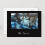 De Beasties Briefkaart (Voorkant / Achterkant)