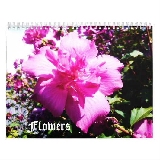 DE BEAUTY OF FLOWERS-kalender Kalender (Hoes)