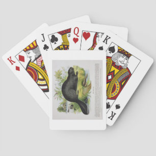De Beaver, educatieve illustratie pub. door de S Speelkaarten