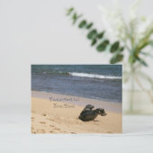 De bedreigde Hawaiiaanse monniksrobijn Kauai Hawai Briefkaart (Staand voorkant)